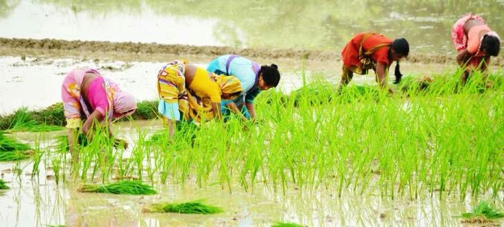 जिले में अब तक 632.3 मिमी बारिश, औसत से 172.9 मिमी अधिक
