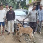 फिल्मी स्टाईल में पकड़े गए बकरी चोर, खरीदार समेत तीन गिरफ्तार बगीचा थाना क्षेत्र के कुहापानी से चोरी कर ले जाई गई थी बकरी, दरिमा चौक अंबिकापुर से आरोपियों को पकड़ा गया