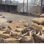 अवैध धान की आवाजाही रोकने प्रशासन सक्रिय, सीमावर्ती चेकपोस्टों पर कड़ी निगरानी