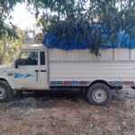 जशपुर पुलिस ने अवैध धान परिवहन करते पिकअप पकड़ी, 30 क्विंटल धान जब्त