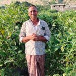 ग्राफ्टेड बैंगन से बदली खेती की तस्वीर – खरसिया के किसान मुरलीधर साहू ने