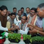 किसान की फसल से खिलवाड़ पर अब सीधा प्रहार, दोषियों को बख्शा नहीं जाएगा : शिवराज सिंह चौहान