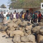 अमेरा खदान बना केंद्र, संगठित नेटवर्क से होती रही अवैध सप्लाई सरगुजा से बिलासपुर तक फैला कोयला चोरी का जाल