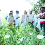 दुर्ग अफीम की खेती और दागदार छवि: भाजपा नेता विनायक ताम्रकार के निलंबन के बाद गरमाई प्रदेश की राजनीति