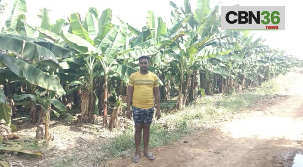 फसल बदली, बदली किस्मत… किसान की लाखों में कमाई