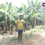 फसल बदली, बदली किस्मत… किसान की लाखों में कमाई