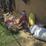 लैलूंगा में अवैध अफीम की खेती पर कार्रवाई जारी, जांच के बाद होगा पूरा खुलासा