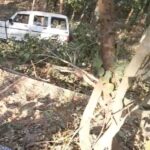 देखें वीडियो: तेज रफ्तार बोलेरो सड़क से उतरकर खाई में गिरी, बाल-बाल बचे यात्री