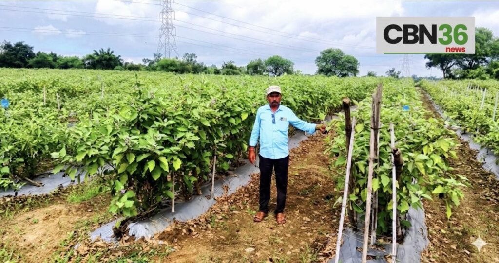 नई सोच और तकनीक ने बनाया हार्दिक को सफल किसान, अब लहलहा रही है खुशहाली