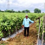 नई सोच और तकनीक ने बनाया हार्दिक को सफल किसान, अब लहलहा रही है खुशहाली