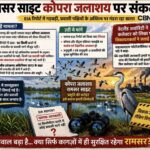कोपरा जलाशय EIA रिपोर्ट पर सवाल, प्रवासी पक्षियों की अनदेखी से बढ़ा विवाद