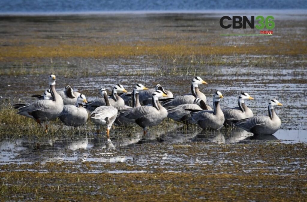 रामसर साइट कोपरा जलाशय की संवेदनशीलता के चलते IMAEC स्टील एंड पावर लिमिटेड ने लिया निर्णय, सकरी में प्रस्तावित स्टील प्लांट परियोजना वापस