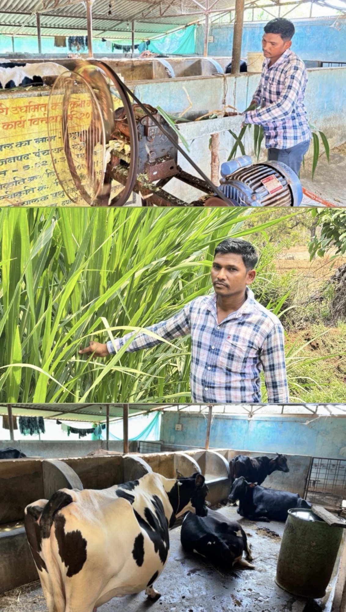 मजदूरी से मल्टी-फार्मिंग तक: दंतेवाड़ा के ललित यादव बने ग्रामीण आत्मनिर्भरता की मिसाल