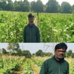 उद्यानिकी की आधुनिक तकनीकों से किसान महेश कश्यप की बदली तकदीर