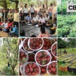 जशपुर के किसान खेती में बना रहे अलग पहचान,परंपरागत फसलों के स्थान पर उद्यानिकी और नकदी फसलों पर बढ़ा जोर