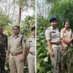 मुंगेली पुलिस की बड़ी कार्रवाई: सब्जी बाड़ी में गांजा उगा रहा बुजुर्ग गिरफ्तार