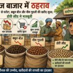 वनोपज बाजार में सुस्ती, चरोटा-नीम गुठली की खरीद घटी; डोरी सीड के भाव बरकरार