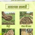 सीड बॉल अभियान- हरियाली बढ़ाने का सरल और प्रभावी माध्यम