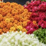 धूप की मार से मुरझाए फूल, सावन से पहले महकी महंगाई
