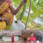 एकीकृत कृषि से रैबाली ने बदली तकदीर, सालाना डेढ़ लाख से अधिक की कमाई
