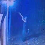 गेरवानी शराब दुकान में पिस्टलनुमा हथियार से फायरिंग, प्राइवेट गार्ड घायल