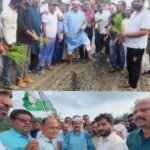 रतनपुर-केंदा-केवची मार्ग की बदहाली पर विधायक सड़क पर, धान लगाकर किया विरोध