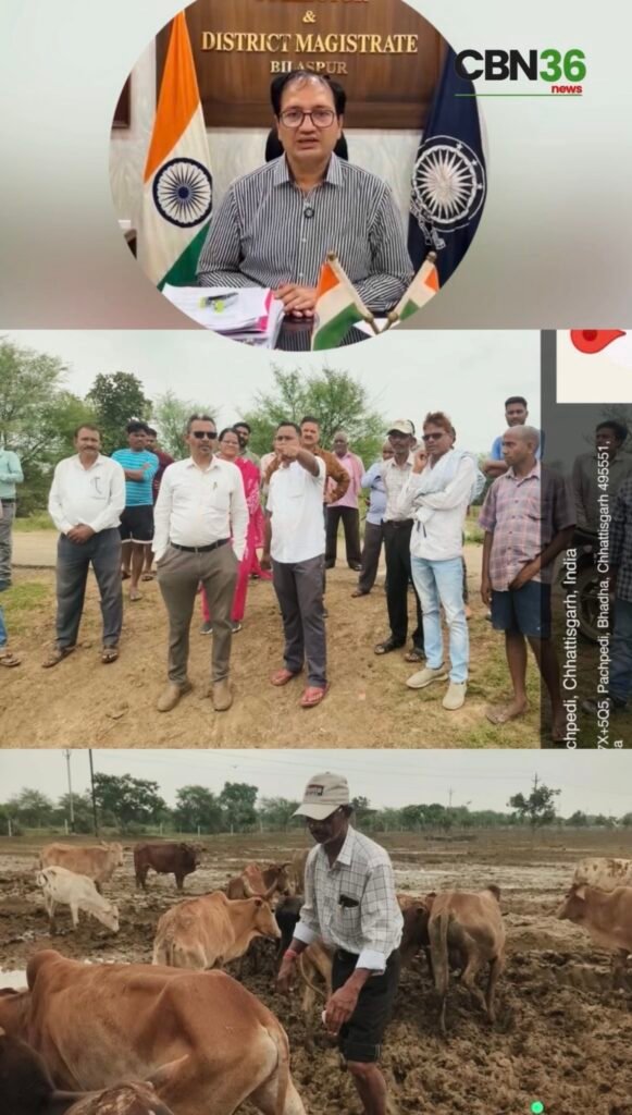 ओखर गौधाम में 3 दिन में 6 पशुओं की मौत, जांच रिपोर्ट कलेक्टर को सौंपी