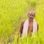 सुगंधित धान की खेती से शंकर प्रसाद को मिलेगा आर्थिक संबल, कृषक उन्नति योजना से मिलेंगे 45 हजार रुपये