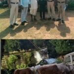 ऑपरेशन शंखनाद: 29 गौवंश तस्करों के चंगुल से मुक्त, तीन गिरफ्तार
